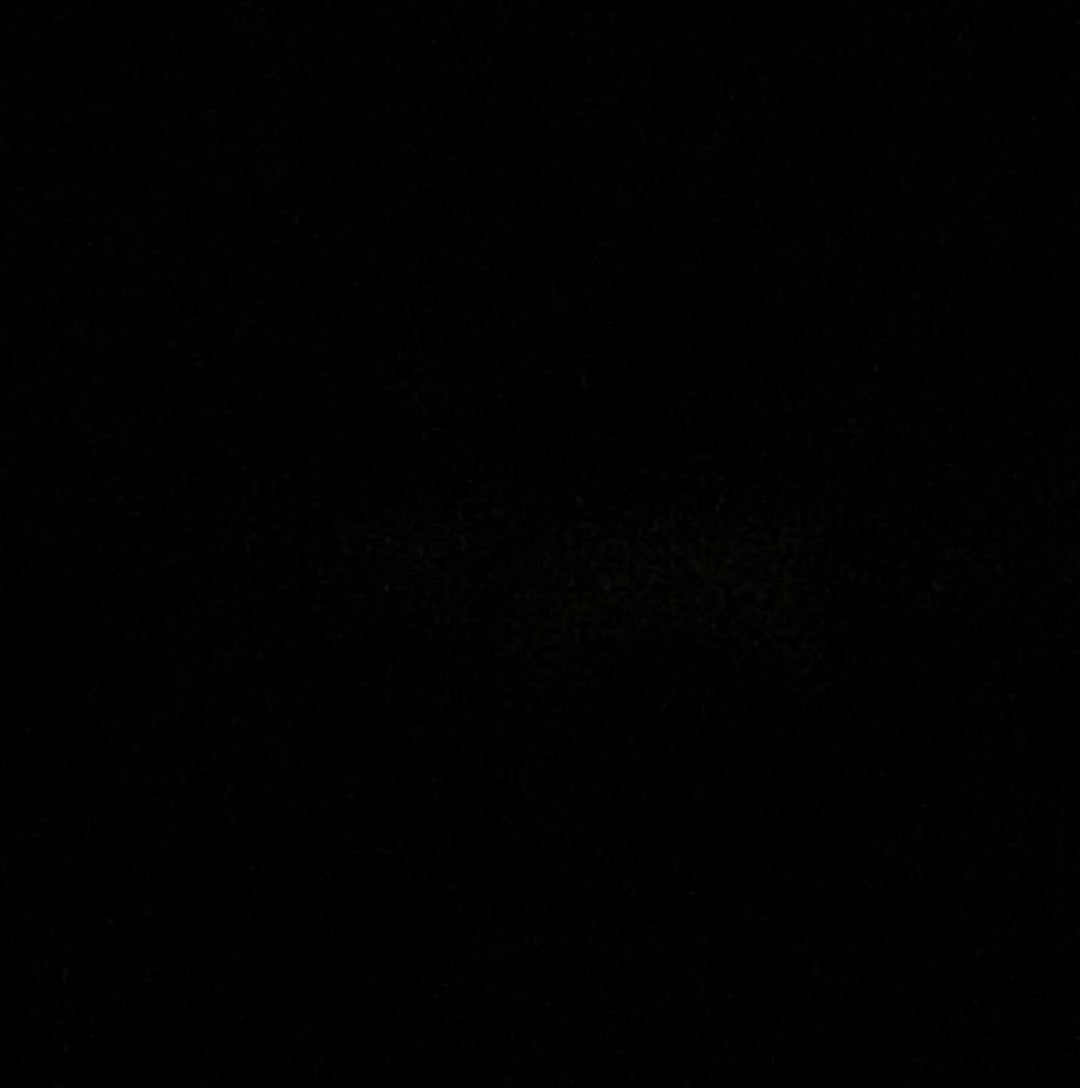 GEO Dog Lamp – Cute LED Night Light | Unique Gift for Dog Lovers